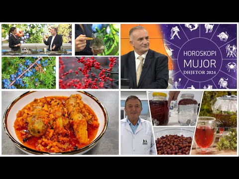 Rreze Dielli -Emisioni 25 Nëntor 2024, Receta/ Horoskopi i muajit Dhjetor/ Dëllinja, vlerat kurative