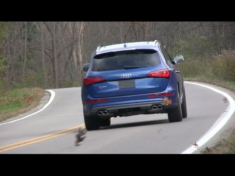 2015 Audi SQ5 Road Test and Review