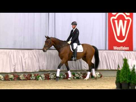 10 Dorfprinzessin Stute v.  Demirel - De Niro