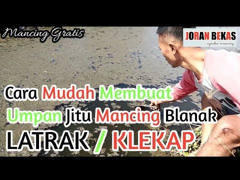 Umpan Mancing Jitu Ikan Blanak-Klekap-Latrak