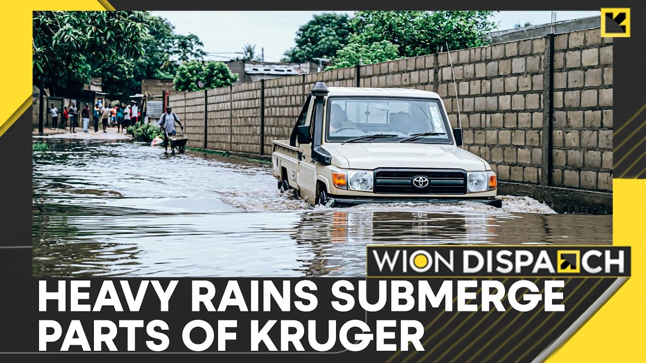 South Africa: Flooding Shuts Day Visits at Kruger Park as Heavy Rains Submerge Areas | WION Dispatch