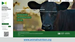 2025 NANP Modeling Workshop – Luis Tedeschi