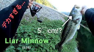 【一誠】嘘魚が本物に変わる【バス釣り】