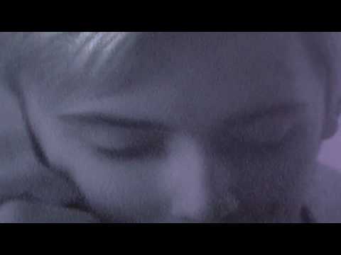 THE ACCORDION PIGEON