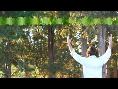 How to Pray According to Kabbalah | Avraham Shira