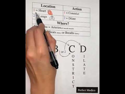 Adrenergic Receptors Tips & Tricks to remember (Adrenergic recep mad Easy)#shorts