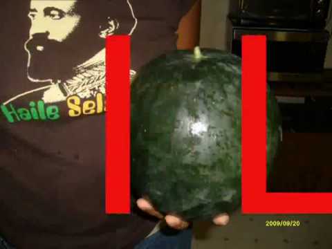 2010 NEW REGGAE DANCEHALL LOVERS ROCK MIX