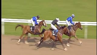 Zayin Angkor Centurion gives us our first winner of the season