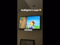 David Archuleta Instagram Story Watching Arthur