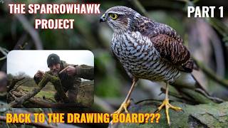 Sparrowhawk Drawing Part 1- The Reason I Started Photography - New Ambassador Role