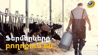 Անասունների զանգվածային սպանդ է լինելու. ֆերմերների բողոքի ակցիան՝ Արագածոտնում