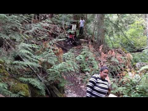 Areeba's First Jungle Hiking