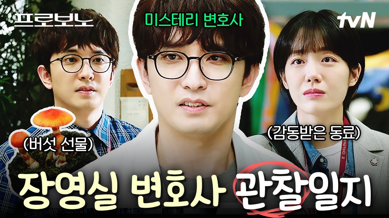 [#프로보노] 이렇게 헐렁한 장영실 변호사님이 깡패랑 맞짱을 떴다고요❓❗ 도통 정체를 알 수 없는 미스?