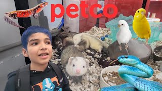 SURPRISING ANIMALS YOU CAN OWN FROM PETCO / WHAT PET SHOULD I GET 