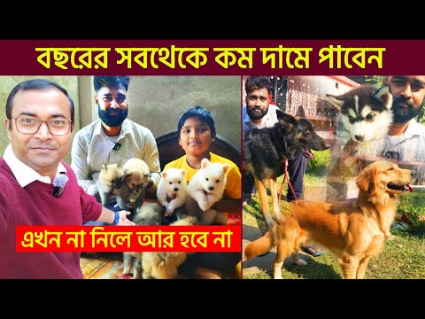 dog market in kolkata | pet market in kolkata | Home breed puppy | Recent Dog Puppy Price Update