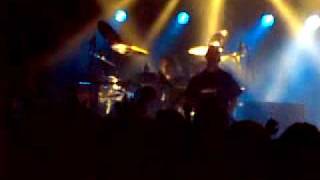 Embraze charm of the wilderness