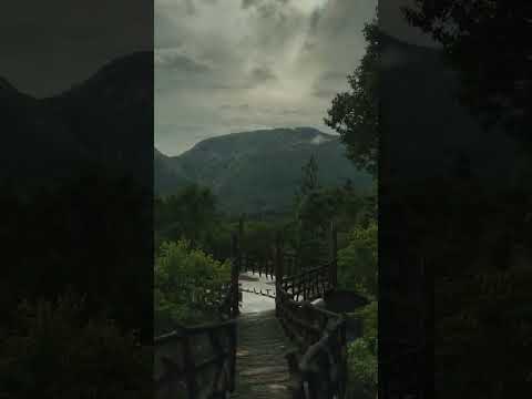 Music of Pata Dedunu Sedila