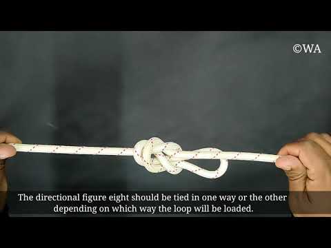 Directional figure 8 | inline figure 8 | Essential Knots | Learn knot in 30 Seconds