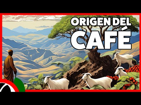 ORIGIN of COFFEE: From Ethiopia to the world