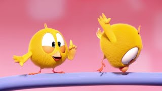 The alarm clock | Where's Chicky? | Cartoon Collection in English for Kids | New episodes