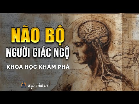 NÃO BỘ THAY ĐỔI THẾ NÀO KHI GIÁC NGỘ | Ngộ Tâm Trí
