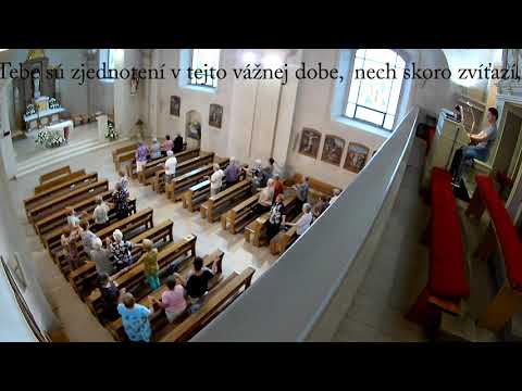 Hymna MKH - Nepoškvrnené srdce Márie