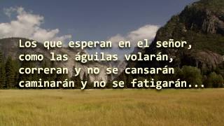 Los Que Esperan Lyrics English Translation