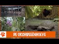 Floris op de orchideeënhoeve! | DierenpraatTV