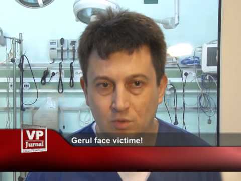 Gerul face victime!