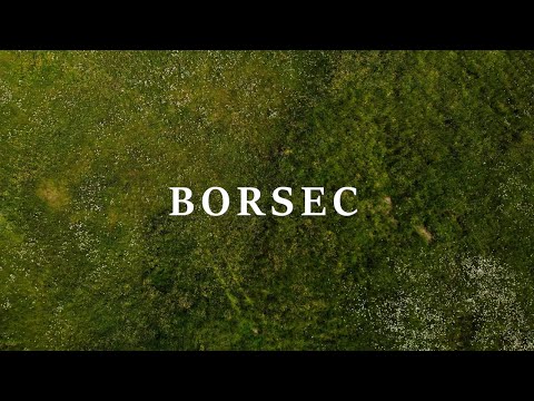 Borsec - The Outskirts, Poiana Zânelor