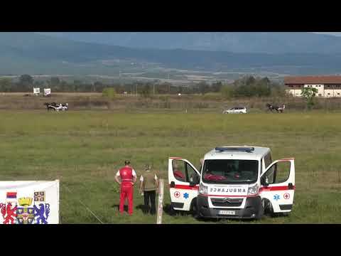 Trka "Badi" 10.10.2020 Tagora - Miodrag Pantić