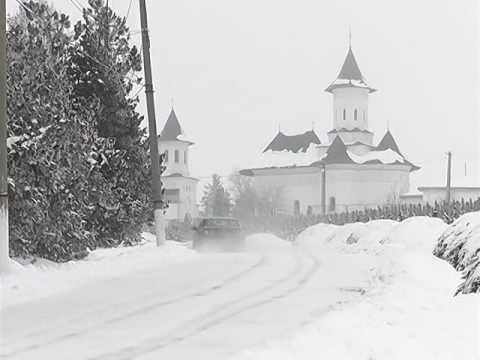 COTNARI IARNA - 2017