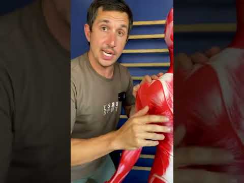 Stop complaining about your d@mn neck pain & your lousy posture & start DOING something about it! 👊