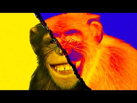 Why Sapiens Got Smart — While Chimps Didn't