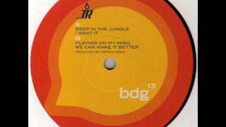 JR Disco - Deep In The Jungle