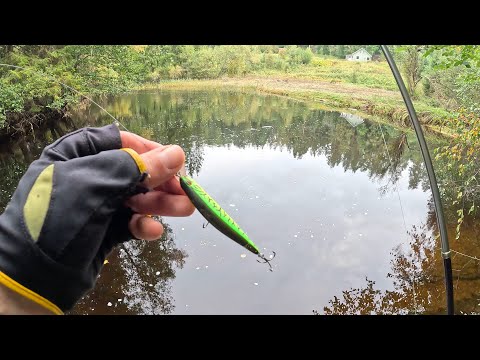 Small river big fish (Norway fishing 🎣)pt.2