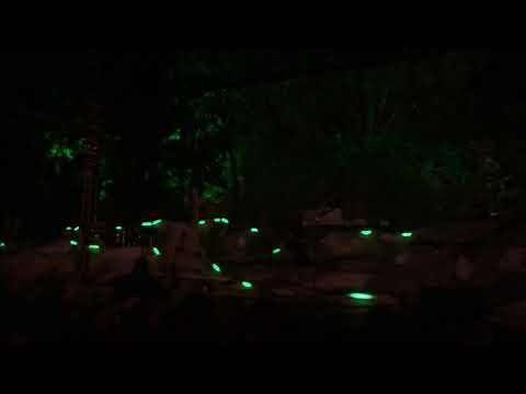 Lord Huron Never Ever Encore (McMenamins Edgefield Troutdale 9/24/2021)