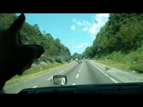 Trepando la Fancy Gap Mountain (Virginia state)