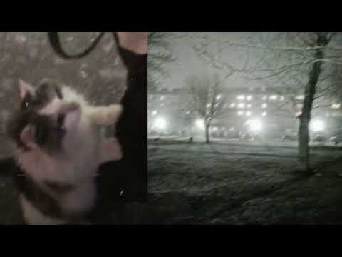 [free] sgpwes + midwest emo type beat (wisssery + pekarot)