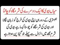 Sharamgah Ko Munh Lagana Mian Biwi Ka Ek Dosre Ki Sharamgah Ko Chatna Islamic Information