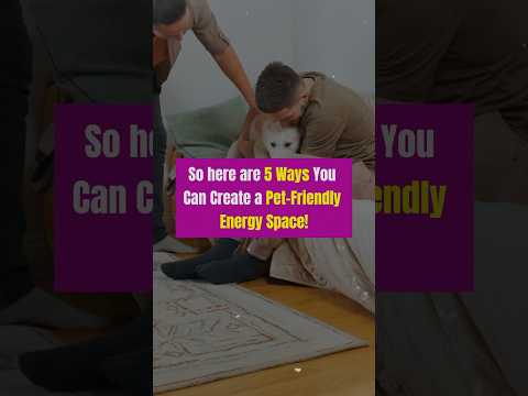 5 ways you can create a pet-friendly ENERGY SPACE!