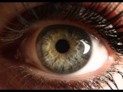 Iridologie Leslie FOSSET