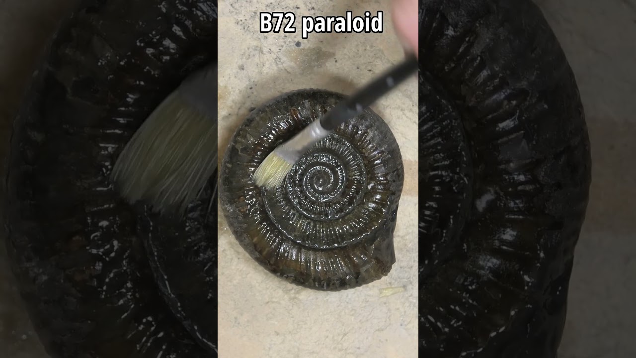Ammonite prep, removing the rock from a Jurassic fossil #fossil #Jurassic #ammonite