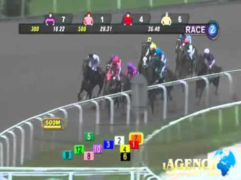 SINGAPORE RACE 15/12/2013 RACE 2 - iAgencyNet.com