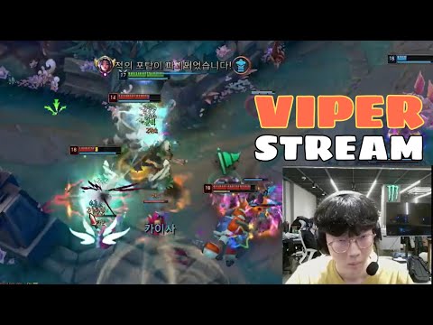 HLE Viper Stream Kaisa Show You How To Carry - Engsub