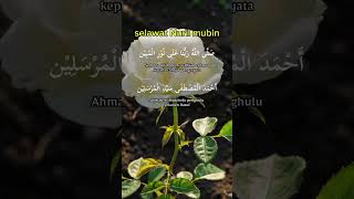 Download lagu selawat Nuril Mubin #selawatdanzikir #jomsebarluaskankebaikan #shorts mp3