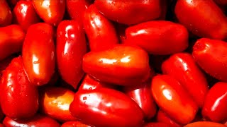 The Untold Truth Of San Marzano Tomatoes