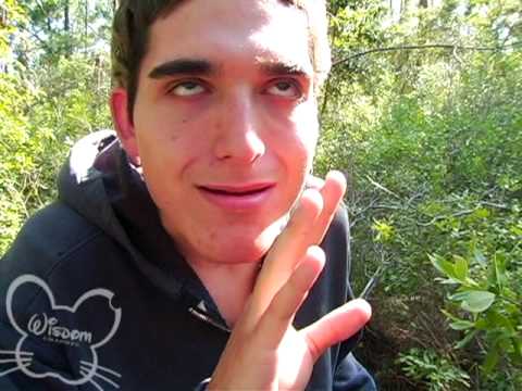 Oh, What a Life! (Disney's "What a Life" parody)