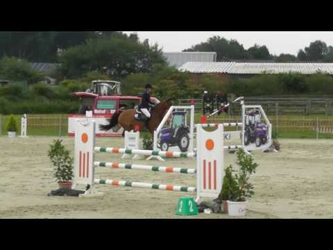 6yo holsteiner mare, Canto x Clearway