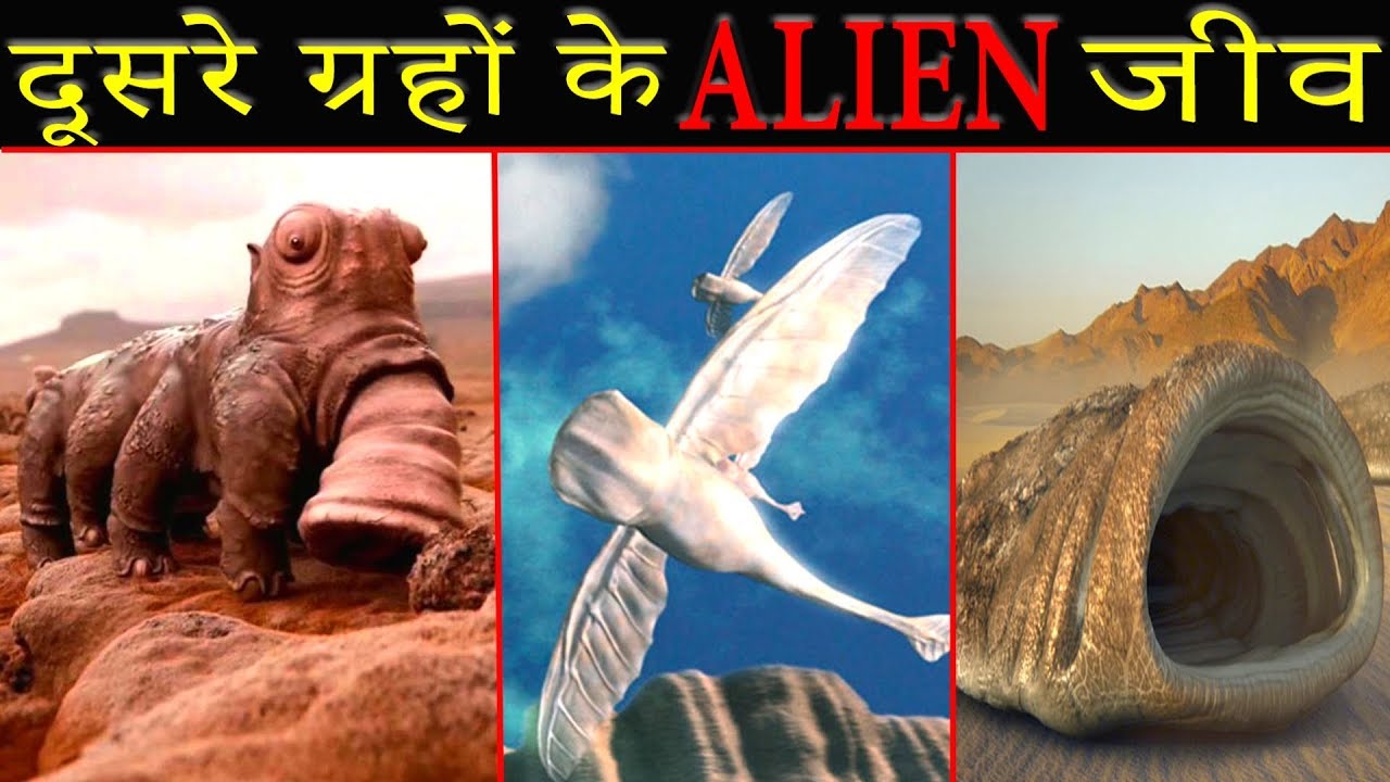 दूसरे ग्रहों में रहने वाले ALIEN जानवर (Unbelievable Alien Structures on Other Planets)